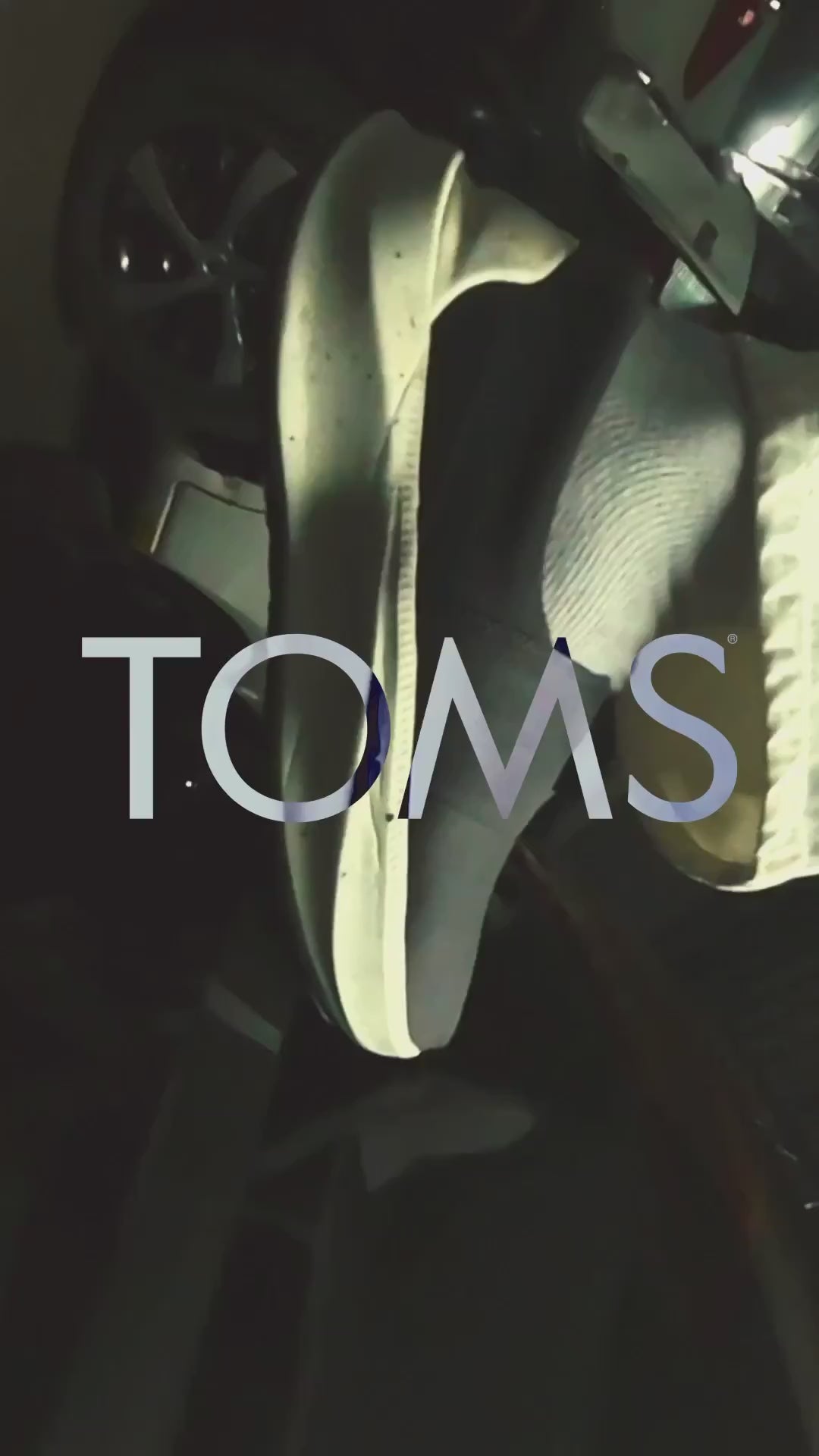 toms sneakers